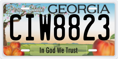 GA license plate CIW8823
