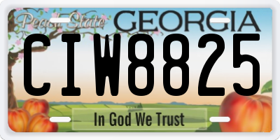 GA license plate CIW8825