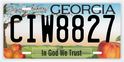 GA license plate CIW8827
