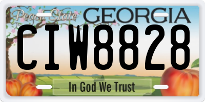 GA license plate CIW8828