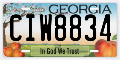 GA license plate CIW8834