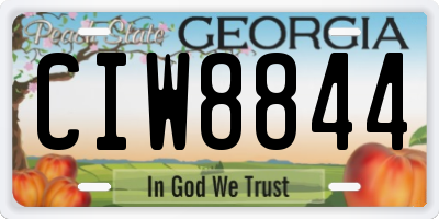 GA license plate CIW8844