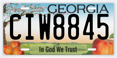 GA license plate CIW8845