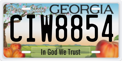 GA license plate CIW8854