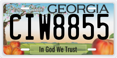GA license plate CIW8855