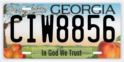 GA license plate CIW8856