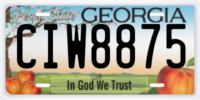 GA license plate CIW8875