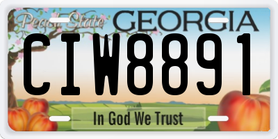 GA license plate CIW8891