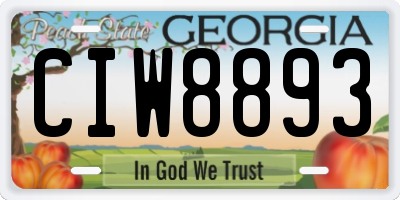 GA license plate CIW8893