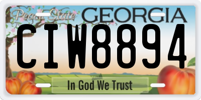 GA license plate CIW8894