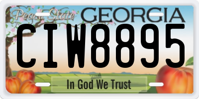 GA license plate CIW8895