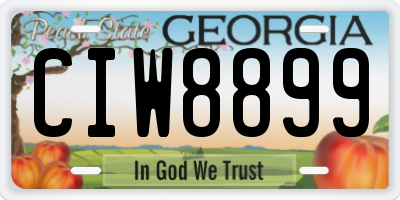 GA license plate CIW8899