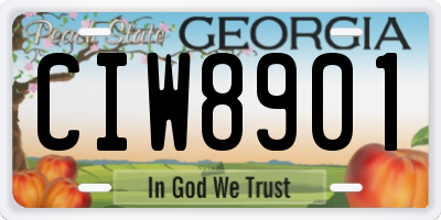 GA license plate CIW8901