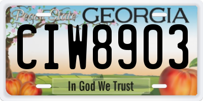 GA license plate CIW8903