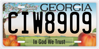 GA license plate CIW8909