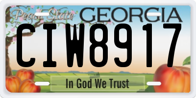 GA license plate CIW8917