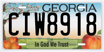 GA license plate CIW8918