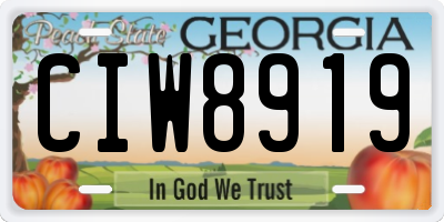 GA license plate CIW8919