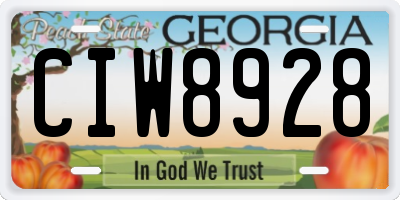 GA license plate CIW8928