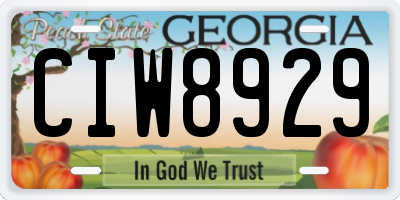 GA license plate CIW8929