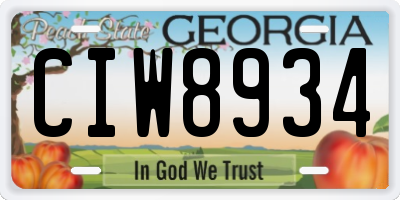 GA license plate CIW8934