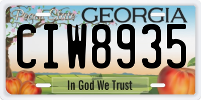 GA license plate CIW8935