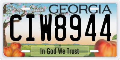 GA license plate CIW8944