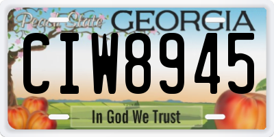 GA license plate CIW8945