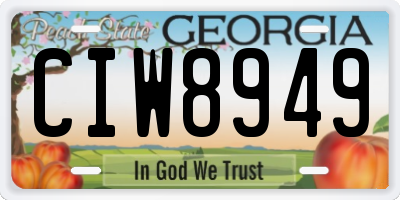 GA license plate CIW8949