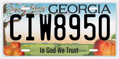 GA license plate CIW8950