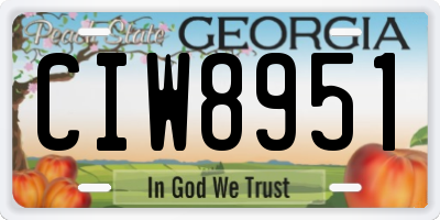GA license plate CIW8951