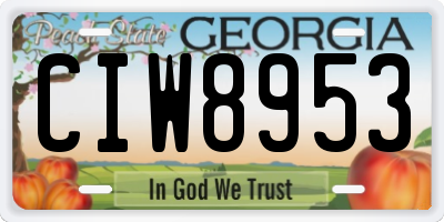 GA license plate CIW8953