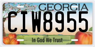 GA license plate CIW8955