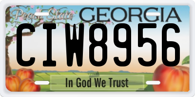 GA license plate CIW8956