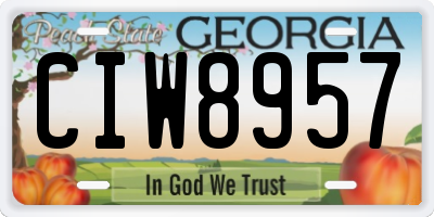 GA license plate CIW8957