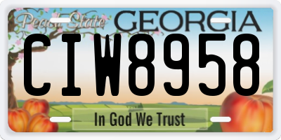 GA license plate CIW8958