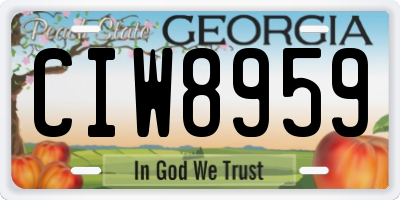 GA license plate CIW8959