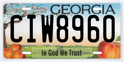 GA license plate CIW8960