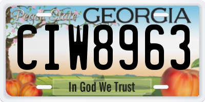 GA license plate CIW8963