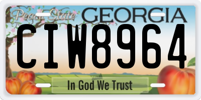 GA license plate CIW8964