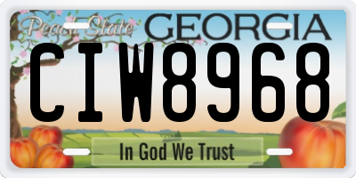 GA license plate CIW8968