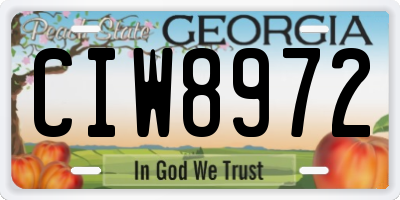 GA license plate CIW8972