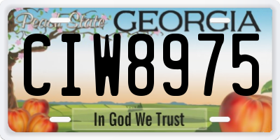 GA license plate CIW8975