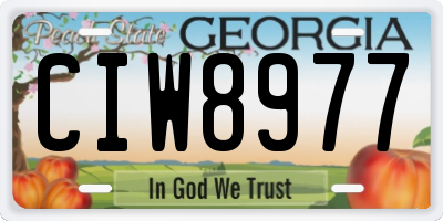 GA license plate CIW8977