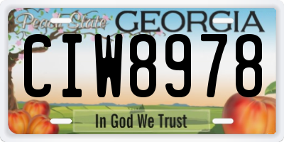 GA license plate CIW8978