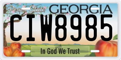 GA license plate CIW8985