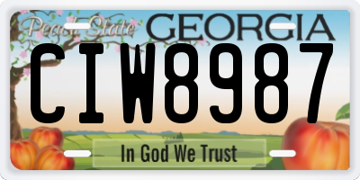 GA license plate CIW8987