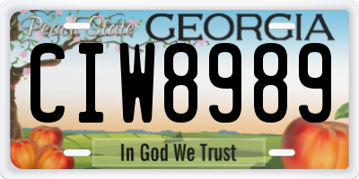 GA license plate CIW8989