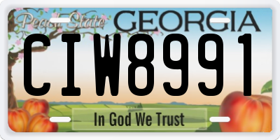 GA license plate CIW8991