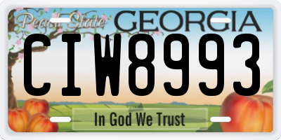 GA license plate CIW8993